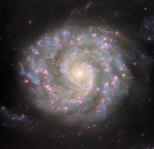 Spiral Galaxy NGC 3596