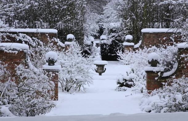 Winter in the garden - Newby Hall