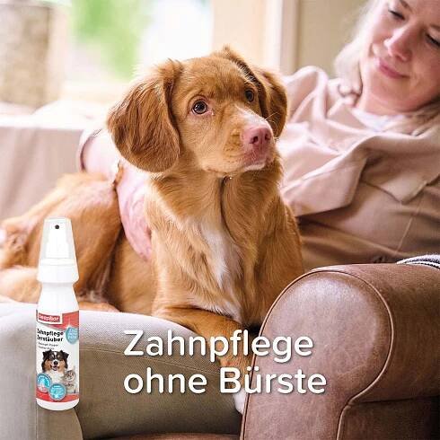 beaphar péče o zuby pro psy a kočky ve spreji, 150 ml