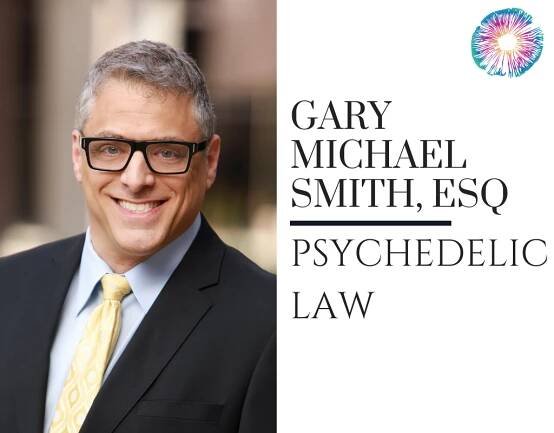 Business Archives | Psychedelics Today
