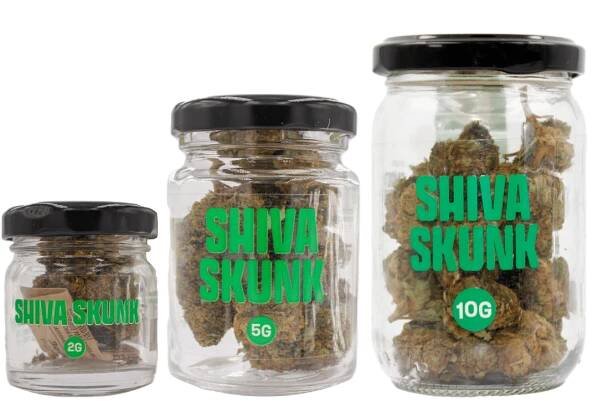 SMOOTH COMPANY - Shiva Skunk