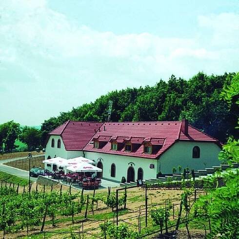 Vinařství Sádek