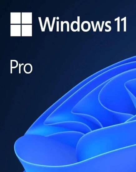 Windows 11 Pro OEM