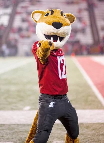 Butch T. Cougar