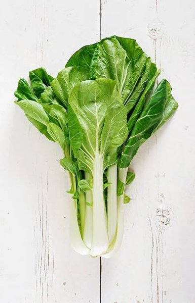 Everything about cabbage: History, varieties, culinary uses, and delicious recipes - Les Chats Gourmets - Recettes de cuisine