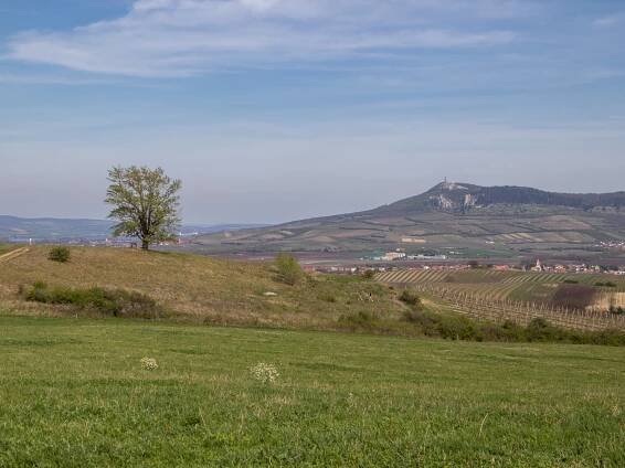 Pyramida v krásné přírodě Dunajovických kopců | PrimaVylety.cz