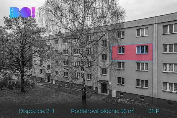 Prodej Byt 2+1, U Lesa, Karviná - Ráj
