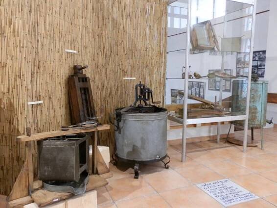 Chvála píli včel - výstava - Muzeum Turnov