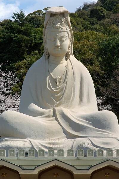 RyozenKannon_9606