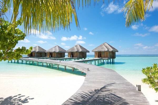 Lux South Ari Atoll CACHE transfer included 4, Maledivy, Ari Atol