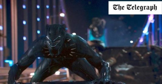 ‘You sign up to be expendable’: Chadwick Boseman’s Black Panther double on life as a Marvel stuntman