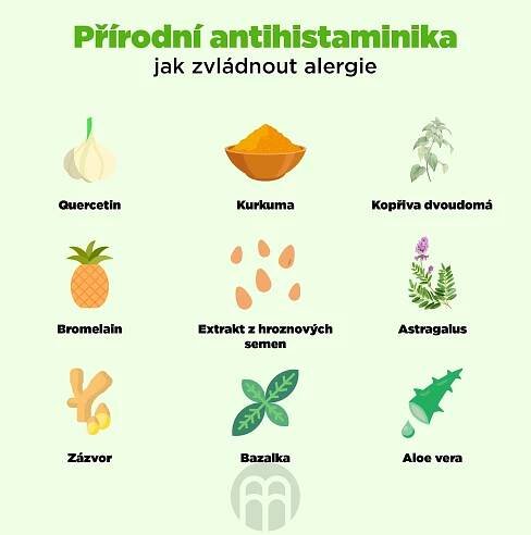 Histaminová intolerance | Výživová Therapie | Therapie | Daflex System ONLINE