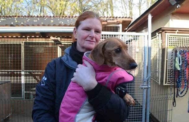 Pomozme s veterinárními náklady opuštěným zvířatům | Donio