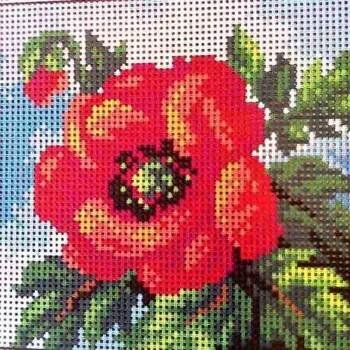 Vyšívací vzor Předloha vyšívací Vlčí mák 15x15cm (Gobelínové plátno (stramín) s natištěným obrázkem s motivem Vlčí mák. Kreativní předloha od výrobce Orchidea. Bavlněná vyšívací předloha s rozměry 15 x 15 cm. Kód výrobce: 2755.)
