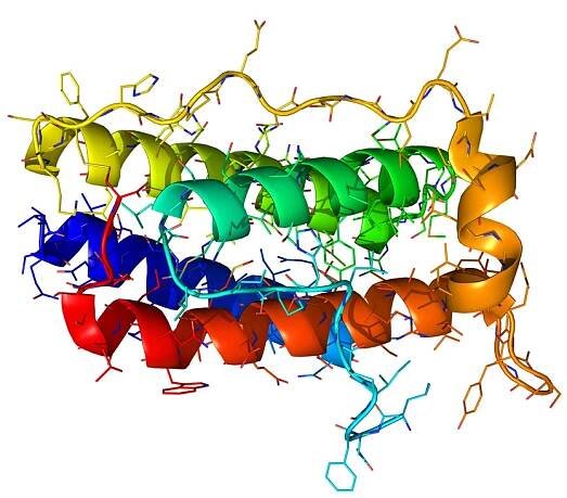 What Causes Leptin Resistance And How To Reverse Its Effects