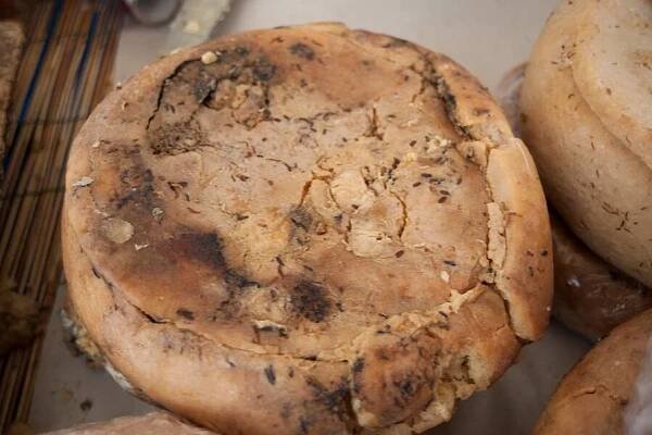 Casu Marzu In Sardinia