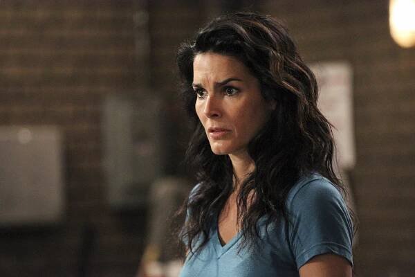 Angie Harmon
