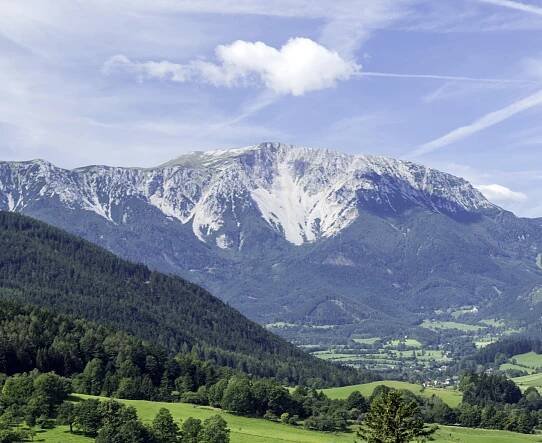 Cow on a pasture | © Wiener Alpen / Franz Zwickl