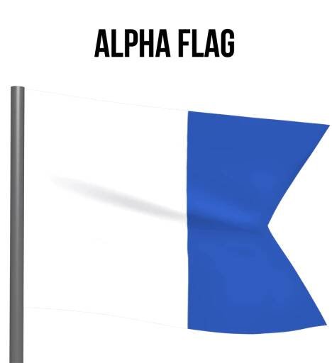 What is the code alpha flag?
