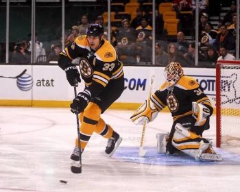Akční obraz Boston Bruins obránce Zdena Chara a gólman Tim Thomas na TD Garden v Bostonu, MA — Stock obrázek