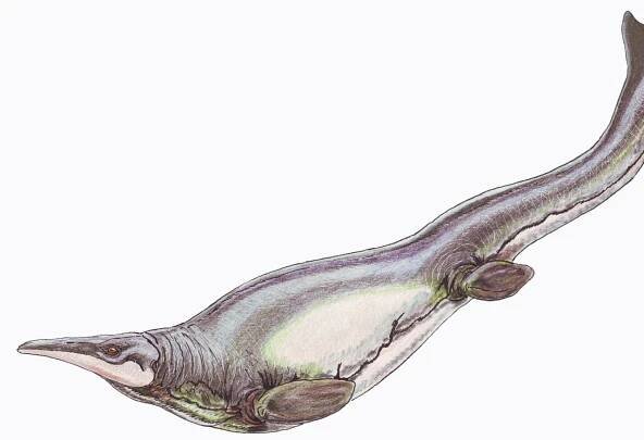 These Prehistoric Sea Monsters Had a Mean Breast Stroke