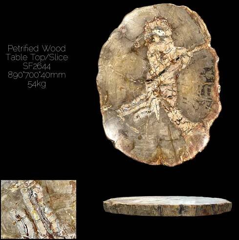 Large Slab/Slice of Petrified Wood Beige