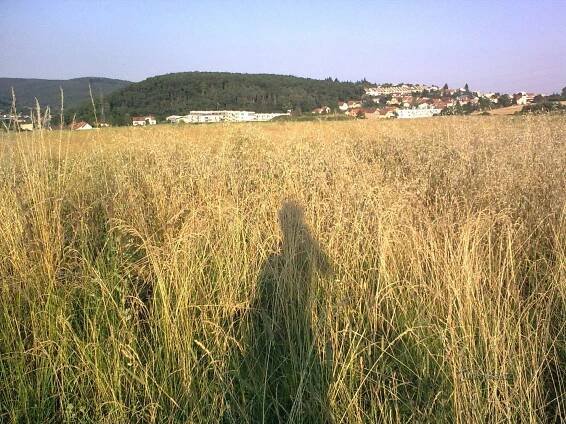 Z Řečkovic do Bystrce - Trasa