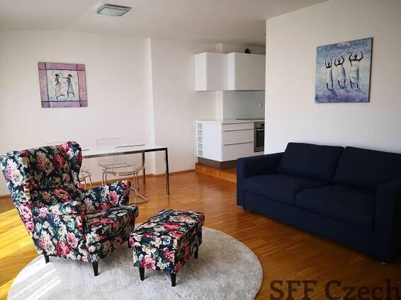 Nice furnished 1 bedroom apartment Vinohrady