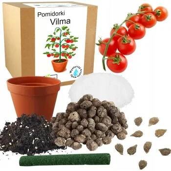Sada pro pěstování Rajče vilma rajčata