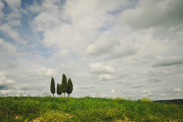 Tuscany Part 1- The countryside - Traverse the Tides | Long Island Wedding Photographers