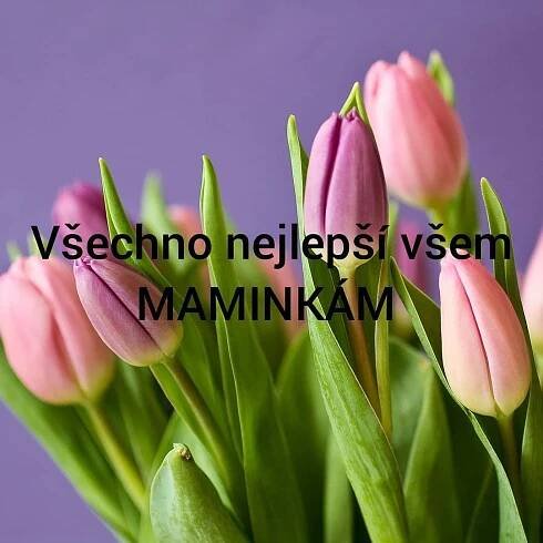 Dnes je svátek matek, a tak bych chtěla popřát všem MAMINKÁM všechno ...