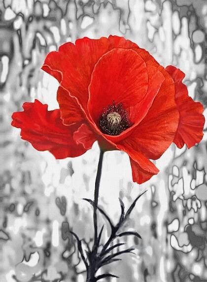 Flowers Gallery - Canada Photo Lab