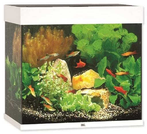 Juwel Aquarium Akvarijní set Lido LED, bílý, 120 l, 61 x 41 x 58 cm nakoupit u OBI