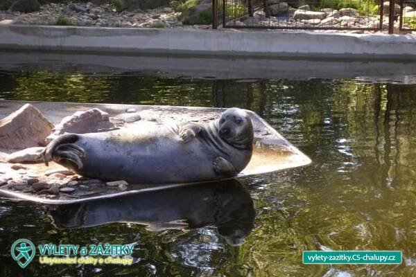 Zoopark Chomutov (4CZ-013): Výlety a zážitky