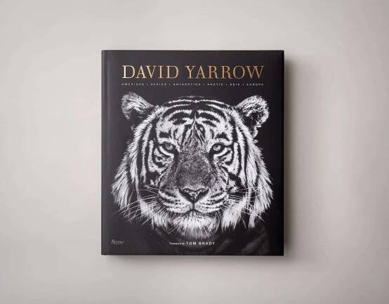 David Yarrow Book