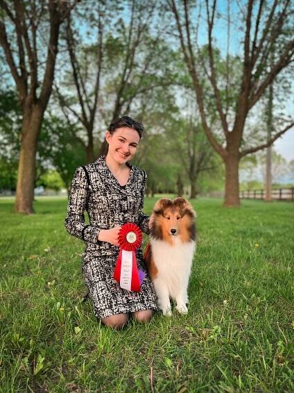 MBISS GCH Brianne — Rosemear Shelties
