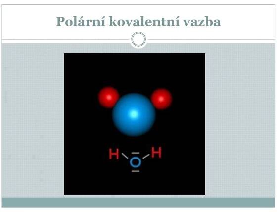 PPT - Chemická stavba buněk PowerPoint Presentation, free download - ID:2410763