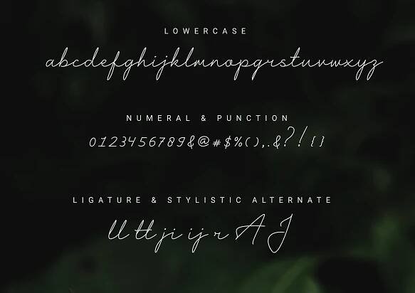 font Photography  Script signature