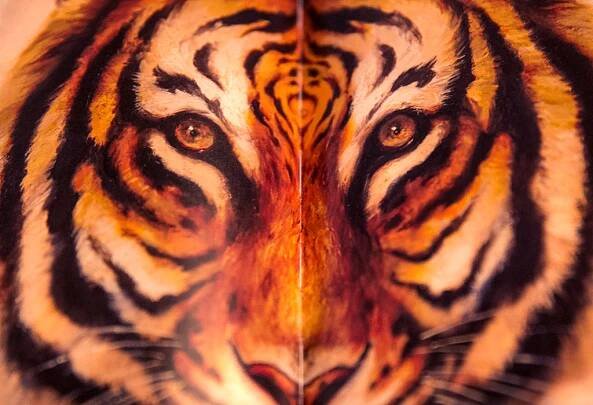 Artist Martin Wittfooth