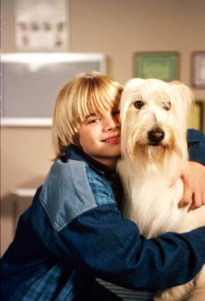 David Gallagher fotka