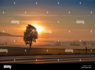 Morning dawning sun and rising sunbeams over hazy field and country road Stock Photo