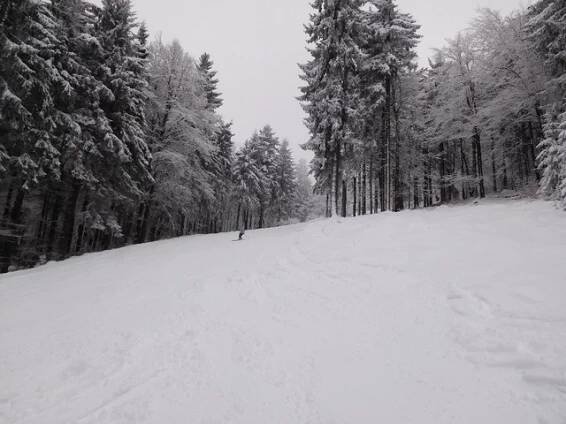 Ski areál Přímda - informace a mapa
