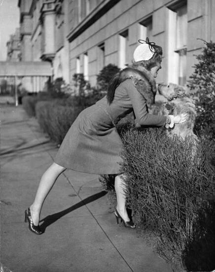 Igralka Joan Caulfield, 1944