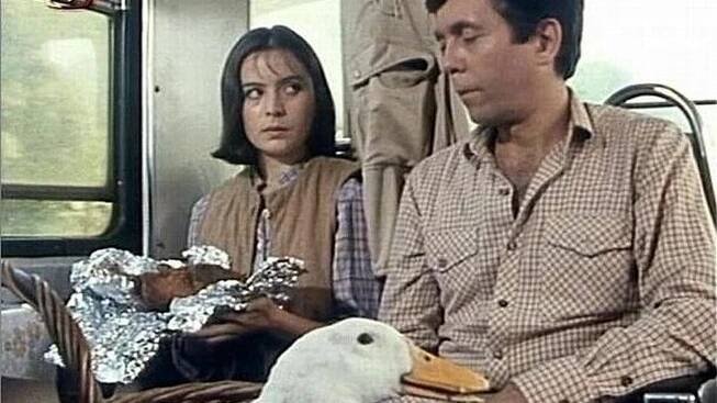 Nejslavnější filmové hlášky Abrháma (†82): A polívčička byla?