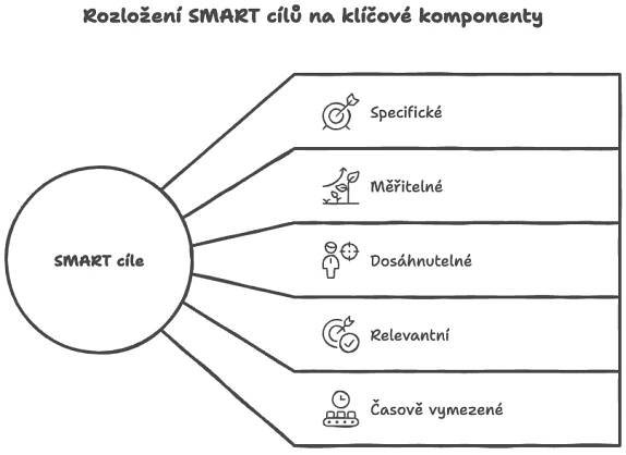SMART cile rizeni firmy