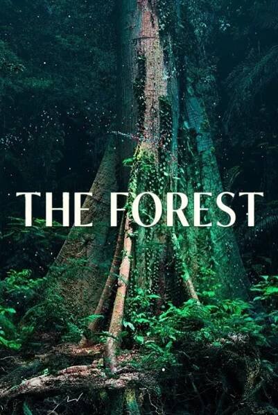 Les 73% [The Forest] (2024)