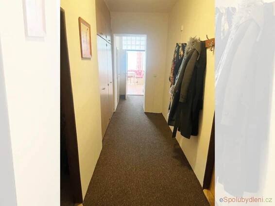 Nabízím místo/pokoj Jihlava, chodba, 7.000Kč/měsíc/(osobu)