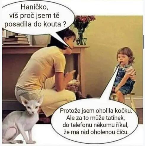 Obrázek WhatsApp, 2025-07-18 v 12.19.18_8eeecbad.jpg