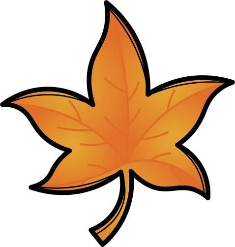 Maple leaf page clipart transparent