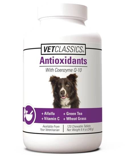 Antioxidants T 120ct VC 19032 web